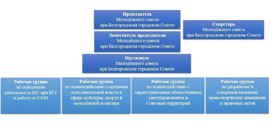 uploads/struktura_molodezhnogo_soveta.jpg